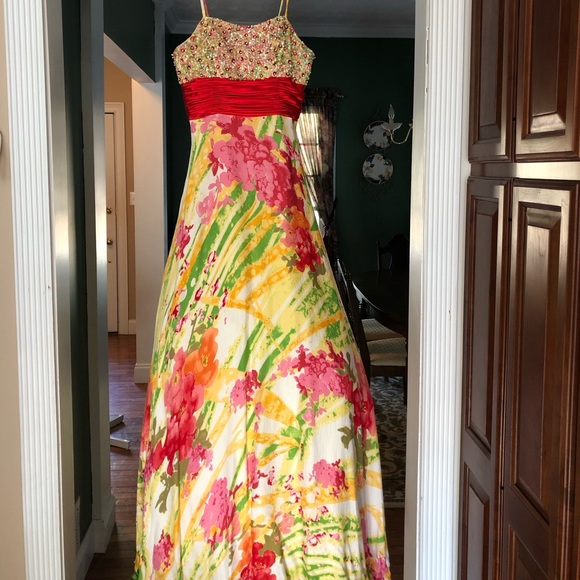 Dresses & Skirts - Prom Dress/formal